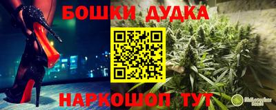 Альфа ПВП Кандалакша