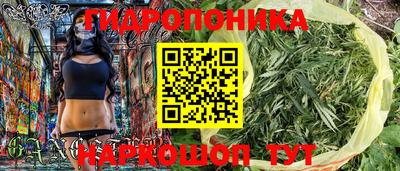 Альфа ПВП Кандалакша